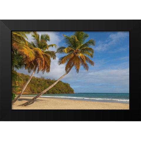Caribbean-Grenada-Grenadines Palm trees and ocean at La Sagesse Beach Black Modern Wood Framed Art Print by Jaynes Gallery