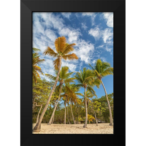 Caribbean-Grenada-Mayreau Island Beach and palm trees Black Modern Wood Framed Art Print by Jaynes Gallery