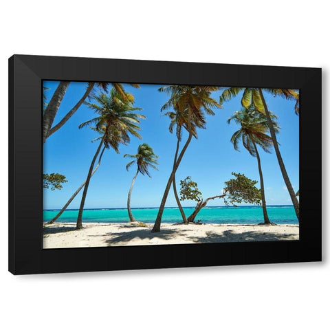 French West Indies-Guadeloupe Marie-Galante Island-part of France Beach at Capesterre  Black Modern Wood Framed Art Print with Double Matting by Buhl, Karl