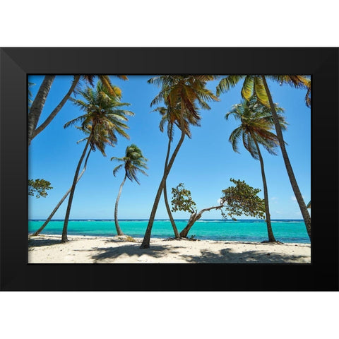 French West Indies-Guadeloupe Marie-Galante Island-part of France Beach at Capesterre  Black Modern Wood Framed Art Print by Buhl, Karl