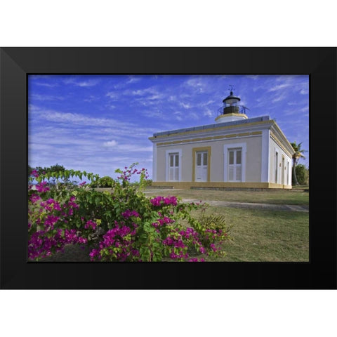 Puerto Rico Faro Punta Mulas lighthouse Black Modern Wood Framed Art Print by Flaherty, Dennis