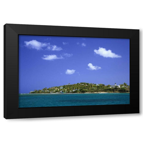 Puerto Rico, Viegues Isl Bay at Isabel Segunda Black Modern Wood Framed Art Print with Double Matting by Flaherty, Dennis