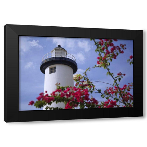 Puerto Rico, Viegues Island Coastal lighthouse Black Modern Wood Framed Art Print with Double Matting by Flaherty, Dennis