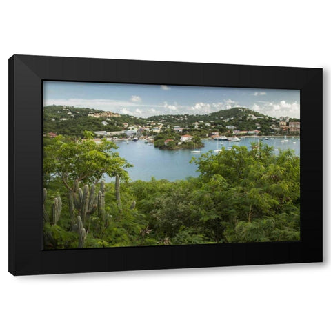 Caribbean, USA Virgin Islands, St John Cruz Bay Black Modern Wood Framed Art Print with Double Matting by Illg, Cathy and Gordon