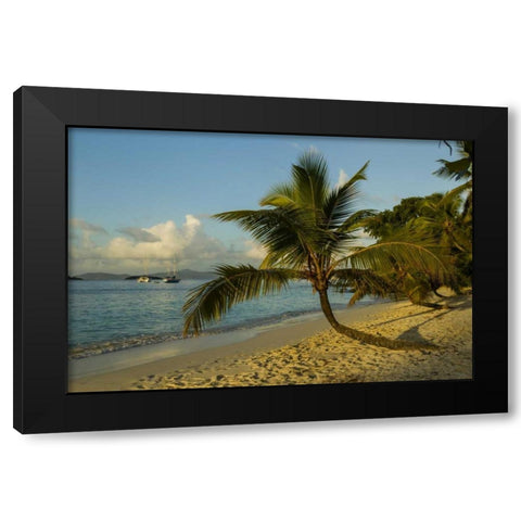Caribbean, USA Virgin Islands Beach scenic Black Modern Wood Framed Art Print with Double Matting by Illg, Cathy and Gordon