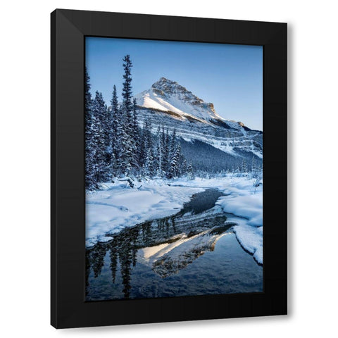Canada-Alberta-Jasper National Park-Tangle Peak reflected in Beauty Creek Black Modern Wood Framed Art Print by Collins, Ann