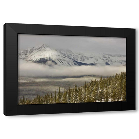 Canada, Banff NP A low cloud bank in the valley Black Modern Wood Framed Art Print with Double Matting by Grall, Don