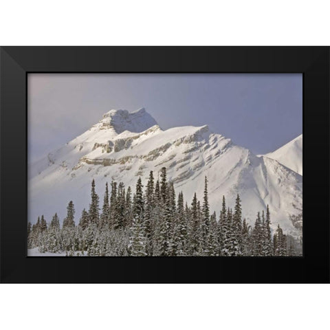 Canada, Alberta, Banff NP Summit of Nigel Peak Black Modern Wood Framed Art Print by Grall, Don