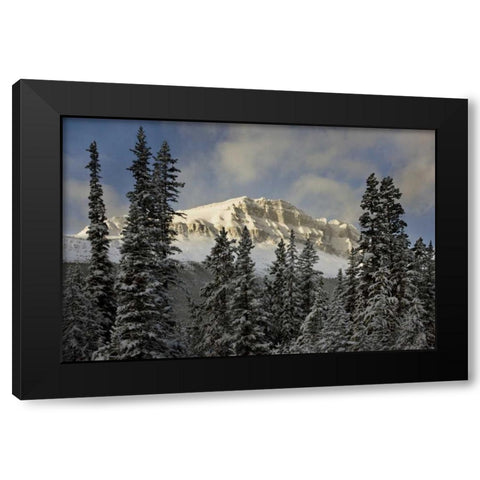 Canada, Banff NP Bow Peak after a snowstorm Black Modern Wood Framed Art Print with Double Matting by Grall, Don