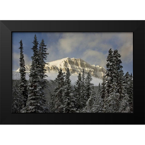 Canada, Banff NP Bow Peak after a snowstorm Black Modern Wood Framed Art Print by Grall, Don