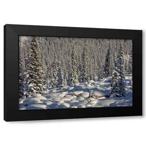 Canada, Alberta, Jasper NP Snowy rocks and trees Black Modern Wood Framed Art Print with Double Matting by Grall, Don