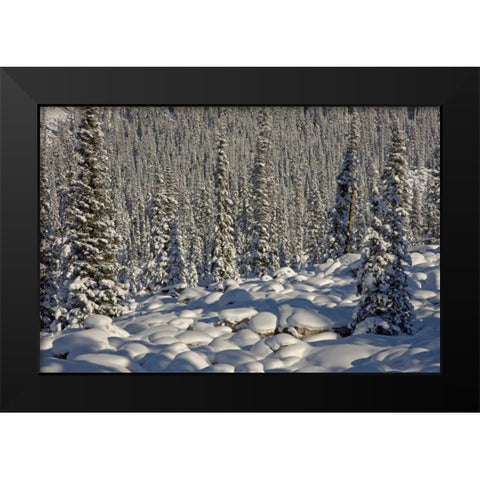 Canada, Alberta, Jasper NP Snowy rocks and trees Black Modern Wood Framed Art Print by Grall, Don