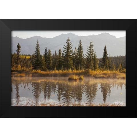 Canada, Alberta, Jasper NP Cottonwood Slough Black Modern Wood Framed Art Print by Paulson, Don