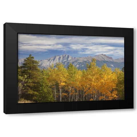 Canada, Alberta, Jasper NP Autumn landscape Black Modern Wood Framed Art Print by Paulson, Don