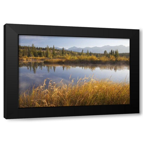 Canada, Alberta, Jasper NP Cottonwood Slough Black Modern Wood Framed Art Print with Double Matting by Paulson, Don