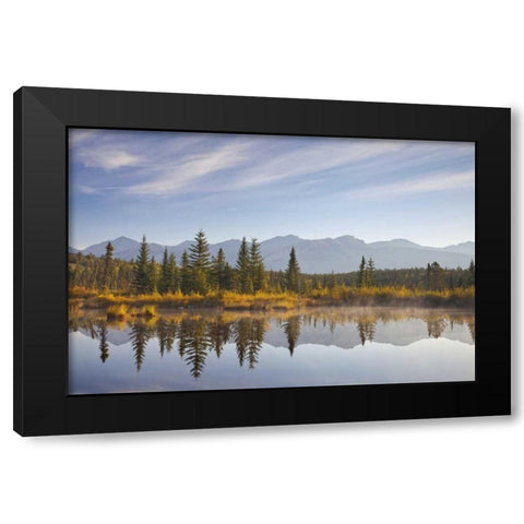 Canada, Alberta, Jasper NP Cottonwood Slough Black Modern Wood Framed Art Print by Paulson, Don
