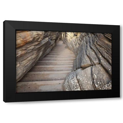 Canada, Alberta, Jasper NP Stairway on trail Black Modern Wood Framed Art Print with Double Matting by Paulson, Don