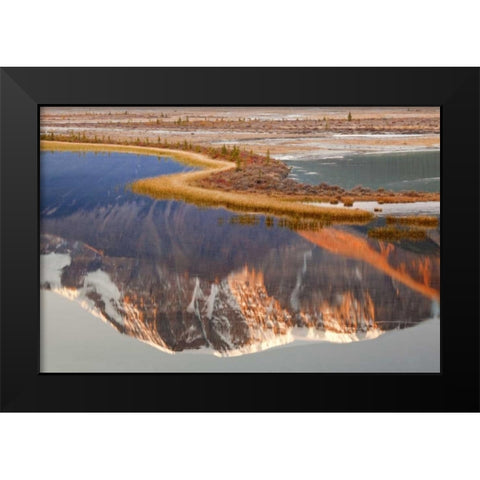 Canada, Jasper NP Mt Kitchener in Sunwapta River Black Modern Wood Framed Art Print by Paulson, Don