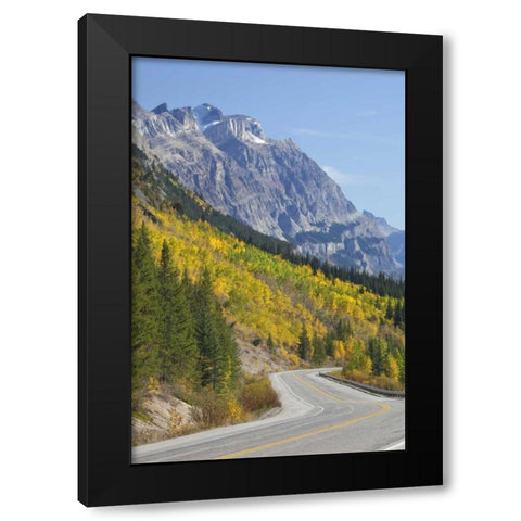 Canada, Alberta, Jasper NP The Icefields Parkway Black Modern Wood Framed Art Print by Paulson, Don