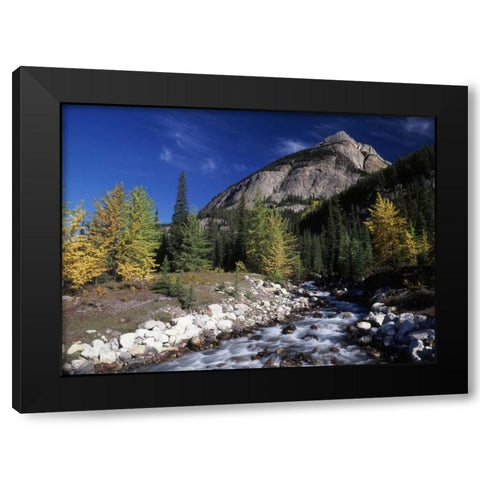 Canada, Alberta, Rampart Creek at Banff NP Black Modern Wood Framed Art Print with Double Matting by Grandmaison, Mike