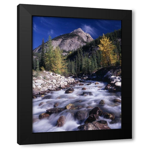 Canada, Alberta, Banff NP Black Modern Wood Framed Art Print by Grandmaison, Mike