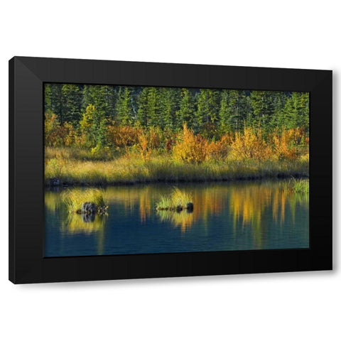 Canada, Banff NP Vermillion Lake in fall Black Modern Wood Framed Art Print by Grandmaison, Mike