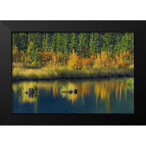 Canada, Banff NP Vermillion Lake in fall Black Modern Wood Framed Art Print by Grandmaison, Mike