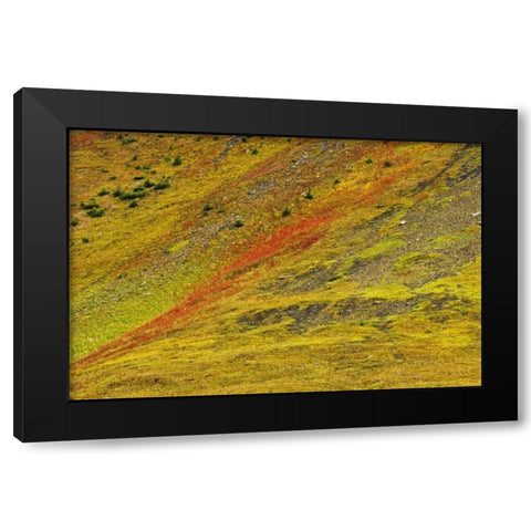 Canada, Alberta Autumn in the Canadian Rocky Mts Black Modern Wood Framed Art Print with Double Matting by Grandmaison, Mike