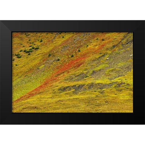 Canada, Alberta Autumn in the Canadian Rocky Mts Black Modern Wood Framed Art Print by Grandmaison, Mike