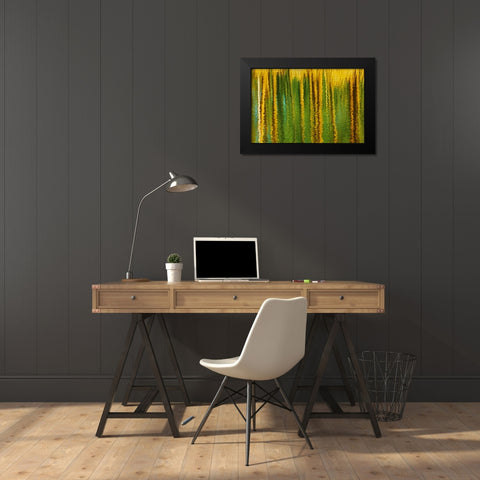 Canada, Alberta, Elk Island NP Aspen by a pond Black Modern Wood Framed Art Print by Grandmaison, Mike