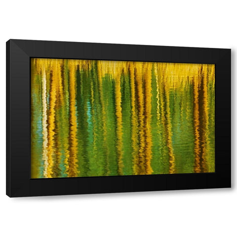 Canada, Alberta, Elk Island NP Aspen by a pond Black Modern Wood Framed Art Print by Grandmaison, Mike