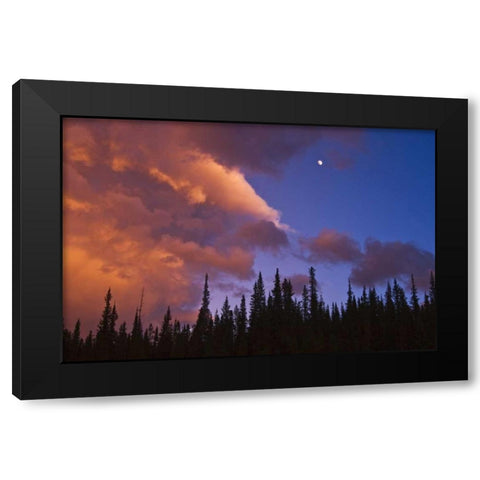 Canada, Alberta, Jasper NP Clouds over forest Black Modern Wood Framed Art Print by Grandmaison, Mike