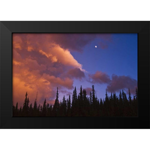 Canada, Alberta, Jasper NP Clouds over forest Black Modern Wood Framed Art Print by Grandmaison, Mike