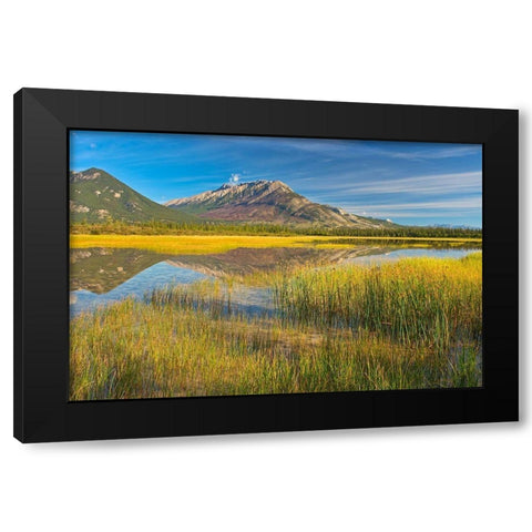 Canada-Alberta-Jasper National Park Reflections in Jasper Lake Black Modern Wood Framed Art Print by Jaynes Gallery
