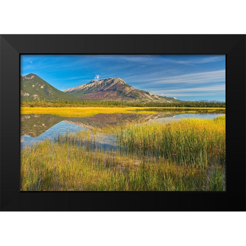 Canada-Alberta-Jasper National Park Reflections in Jasper Lake Black Modern Wood Framed Art Print by Jaynes Gallery
