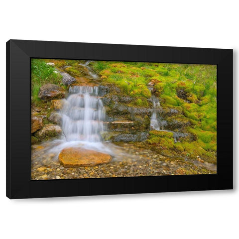 Canada-Alberta-Banff National Park Creek and waterfall scenic Black Modern Wood Framed Art Print with Double Matting by Jaynes Gallery