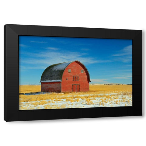 Canada-Alberta-Vulcan Red barn in winter Black Modern Wood Framed Art Print by Jaynes Gallery