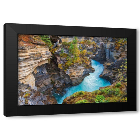 Canada-Alberta-Jasper National Park Athabasca River at Athabasca Falls Black Modern Wood Framed Art Print by Jaynes Gallery