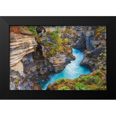 Canada-Alberta-Jasper National Park Athabasca River at Athabasca Falls Black Modern Wood Framed Art Print by Jaynes Gallery