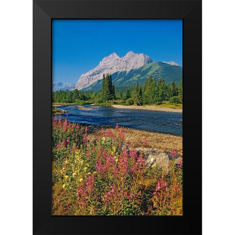 Canada-Alberta-Kananaskis Country Landscape with mountain-stream and fireweed flowers Black Modern Wood Framed Art Print by Jaynes Gallery