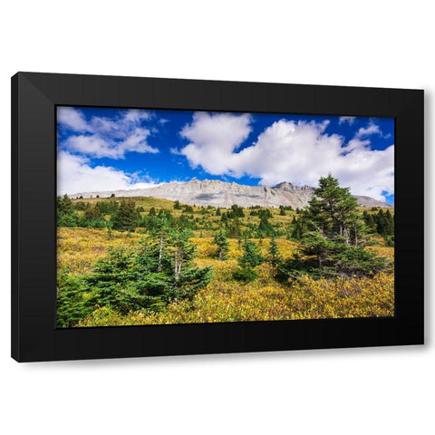 Nigel Peak from Wilcox Ridge-Columbia Icefields-Jasper National Park-Alberta-Canada Black Modern Wood Framed Art Print by Bishop, Russ