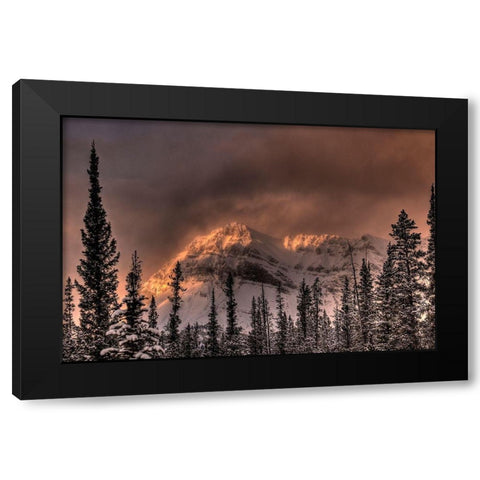 Canadian Rockies-Alberta-Canada Black Modern Wood Framed Art Print with Double Matting by Steve Mohlenkamp