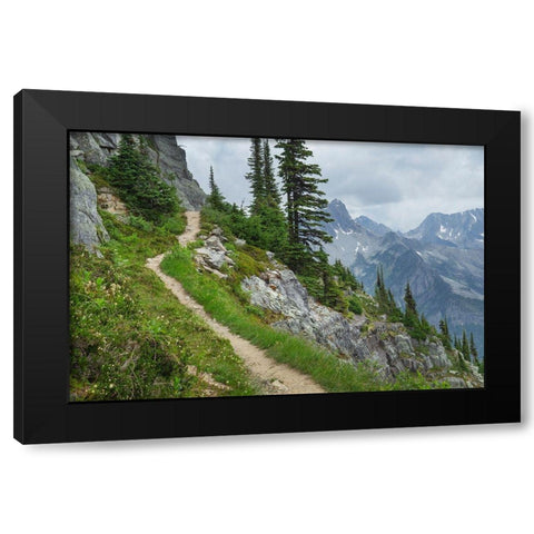 Abbott Ridge Trail along cliffs below Mount Abbott Selkirk Mountains Glacier National Park Black Modern Wood Framed Art Print by Majchrowicz, Alan