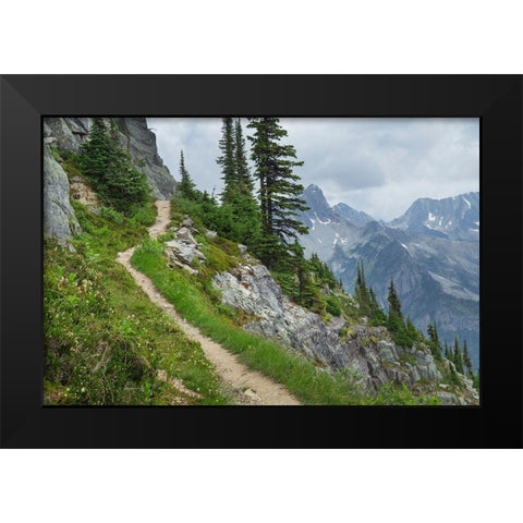 Abbott Ridge Trail along cliffs below Mount Abbott Selkirk Mountains Glacier National Park Black Modern Wood Framed Art Print by Majchrowicz, Alan