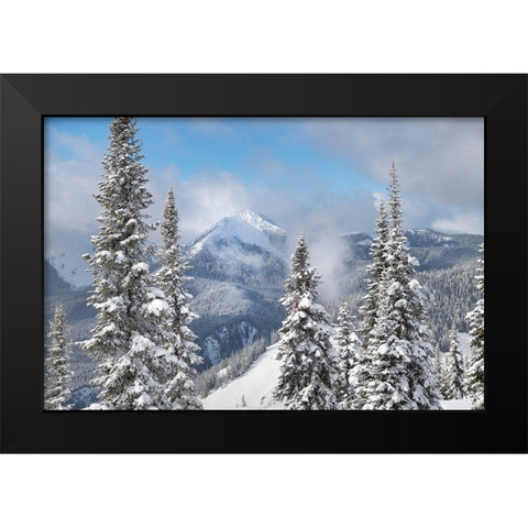 North Cascades in fresh winter snow Manning Provincial Park-British Columbia Black Modern Wood Framed Art Print by Majchrowicz, Alan