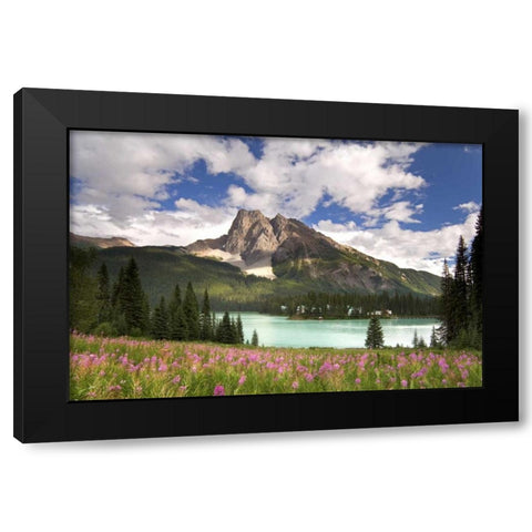 Canada, BC, Yoho NP View of Emerald Lake Black Modern Wood Framed Art Print by Paulson, Don