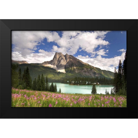 Canada, BC, Yoho NP View of Emerald Lake Black Modern Wood Framed Art Print by Paulson, Don