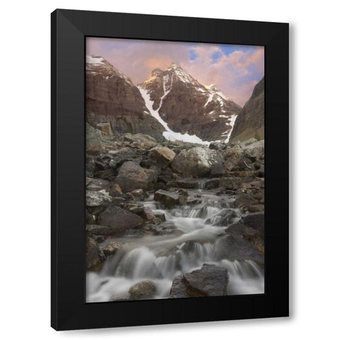 Canada, Yoho NP Small rapids and Cathedral Mt Black Modern Wood Framed Art Print with Double Matting by Paulson, Don