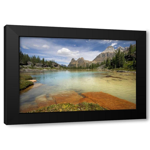 Canada, BC, Yoho NP Opabin Terrace Pools Black Modern Wood Framed Art Print with Double Matting by Paulson, Don