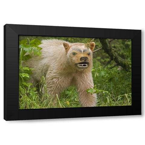 Canada, BC, Princess Royal Is Spirit bear mask Black Modern Wood Framed Art Print with Double Matting by Paulson, Don